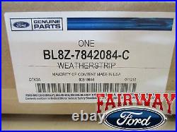 09 thru 12 Escape & Mariner OEM Ford Rear Lift Gate Glass Weatherstrip Seal -NEW